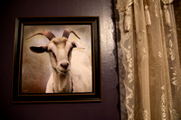 Fainting Goat Inn ©Amityphotos.com